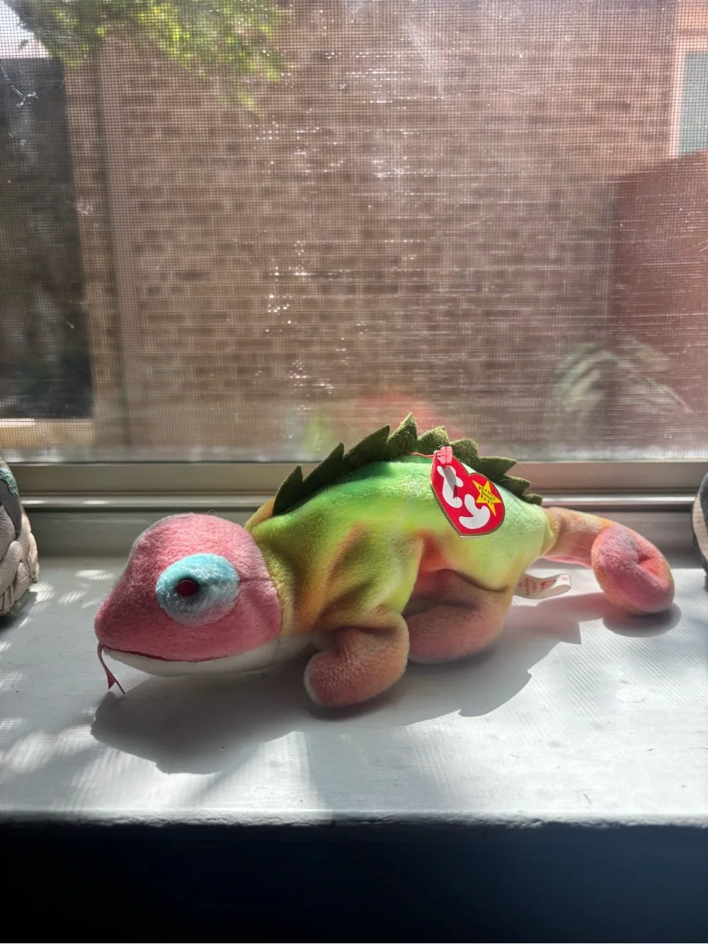 TY Beanie Baby Multicolor Chameleon Plush and TINY Chihuahua